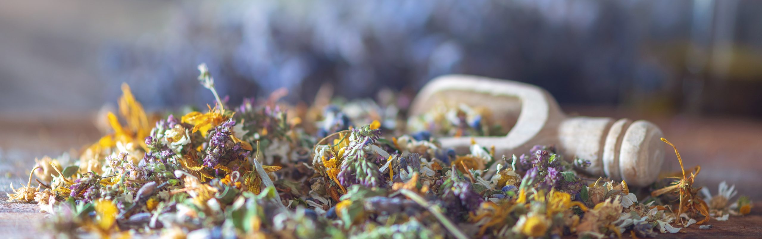 Ayurvedische Heilkräuter und Gewürze